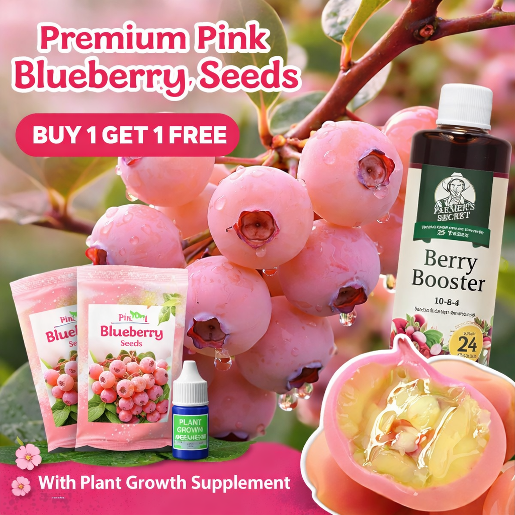 Premium Pink Blueberry Seeds 🌱BUY 1 GET 1 FREE 🌸 With Plant Growth Supplement