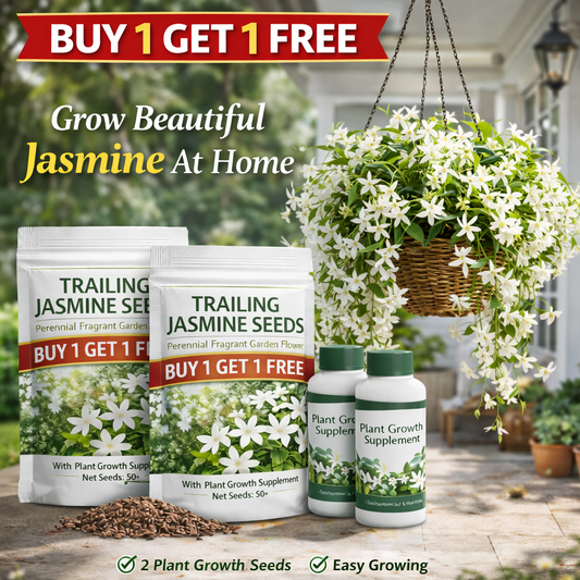 🌱BUY 1 GET 1 FREE  Trailing Jasmine Seeds With Plant Growth Supplement
