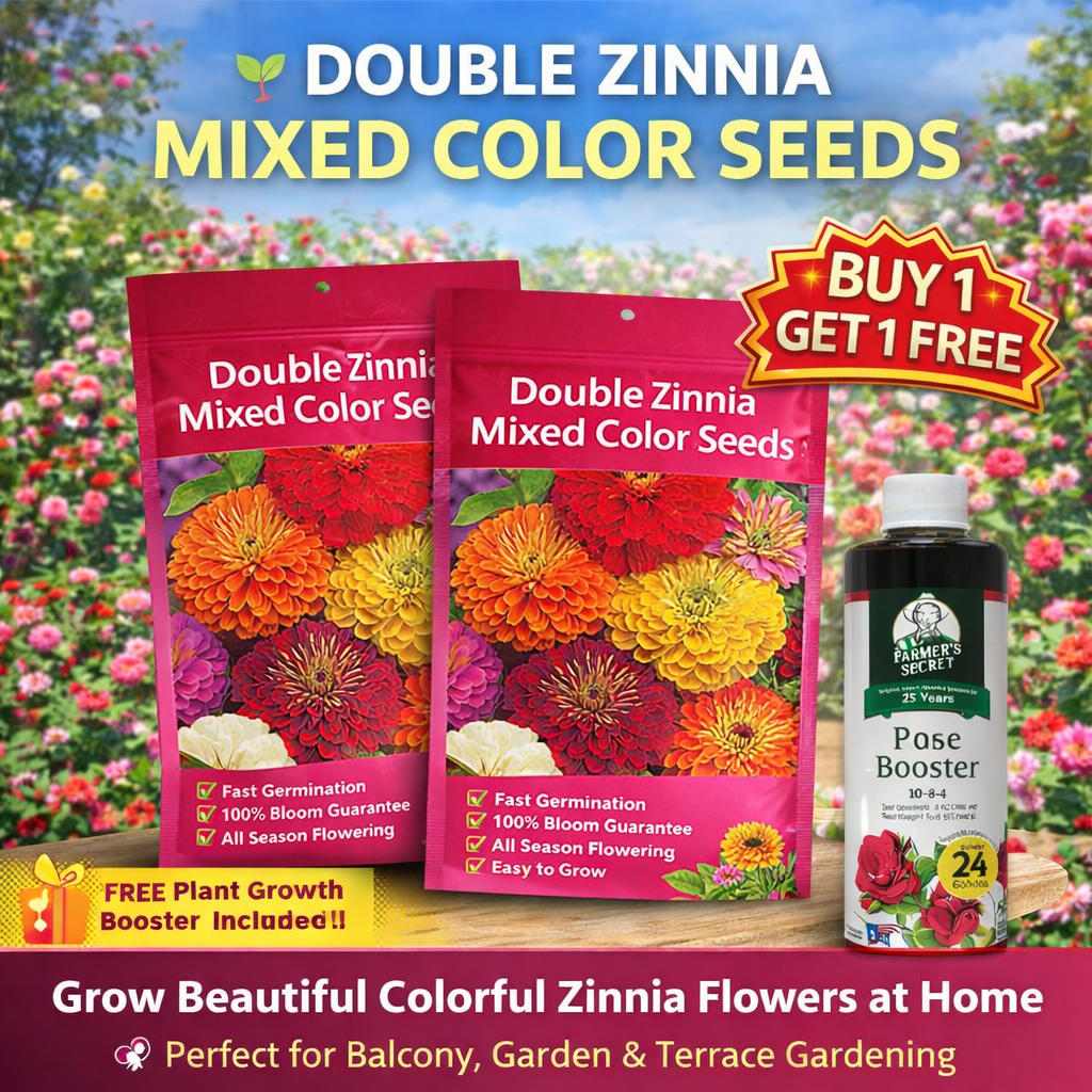 Double Zinnia Mixed Color Seeds 🌱BUY 1 GET 1 FREE 🌸 With Plant Growth Supplement