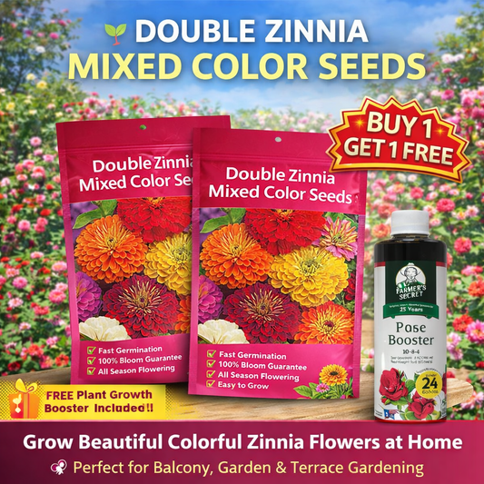 Double Zinnia Mixed Color Seeds 🌱BUY 1 GET 1 FREE 🌸 With Plant Growth Supplement