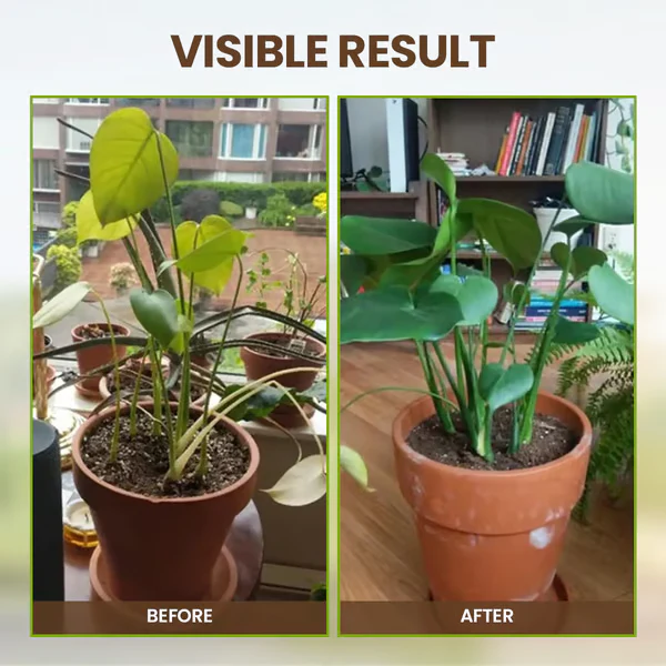 Soil Improvement Loosening Agent ( BUY 1 GET 1 FREE )