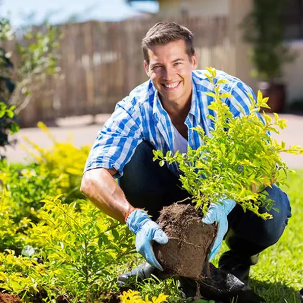 Soil Improvement Loosening Agent ( BUY 1 GET 1 FREE )
