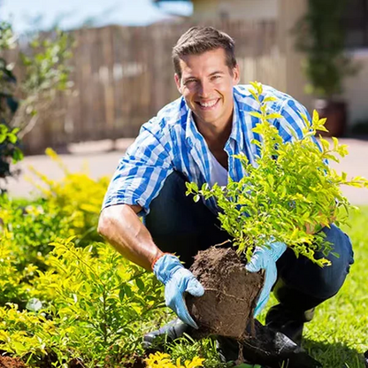 Soil Improvement Loosening Agent ( BUY 1 GET 1 FREE )