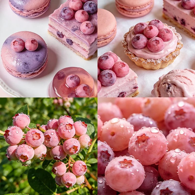 Premium Pink Blueberry Seeds 🌱BUY 1 GET 1 FREE 🌸 With Plant Growth Supplement