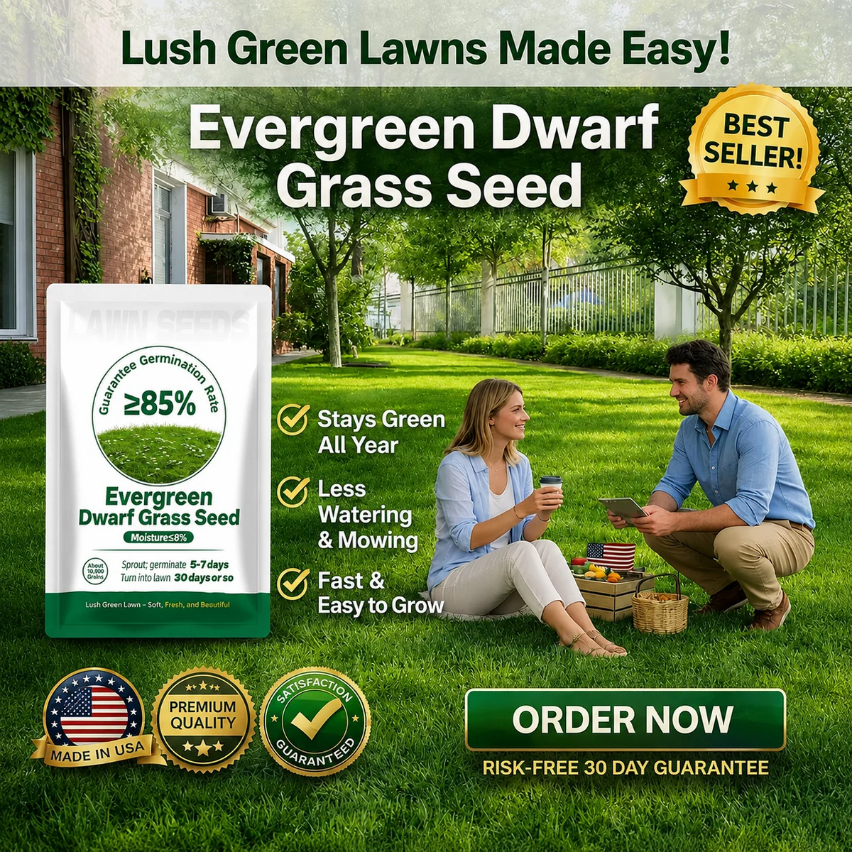 Evergreen Dwarf Grass Seed for Four Seasons| Durable, Vibrant Green All Year