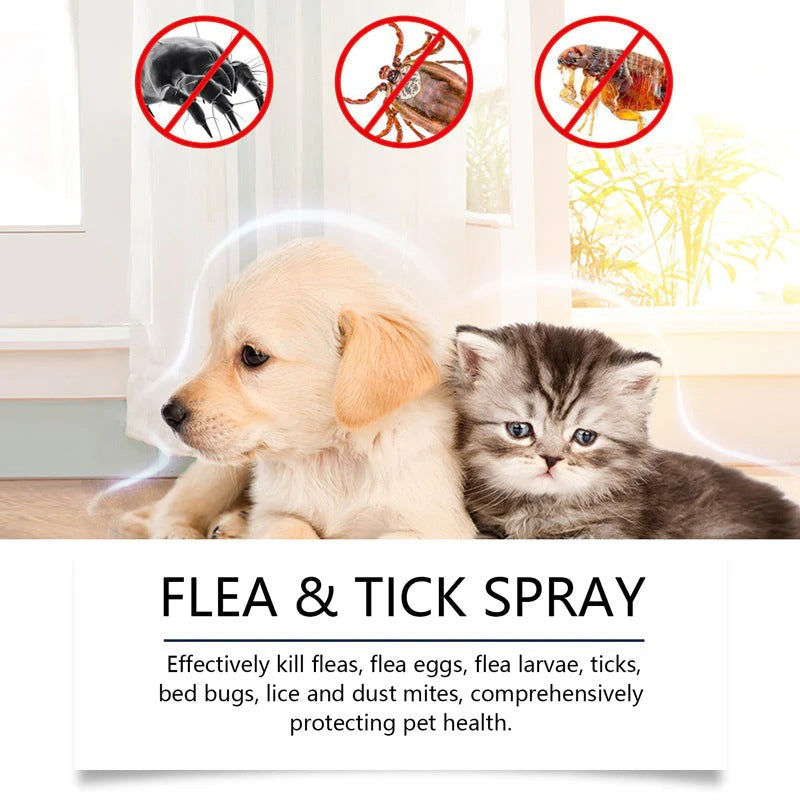 🍃Natural Flea & Tick Spray for Dogs and Cats🐾 Keep Your Beloved Pet Free from Pests