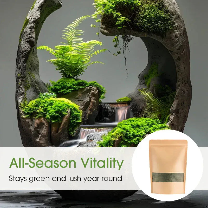 Premium-Grade Moss Spore Powder