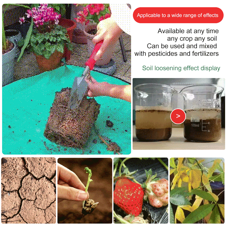 Soil Improvement Loosening Agent ( BUY 1 GET 1 FREE )