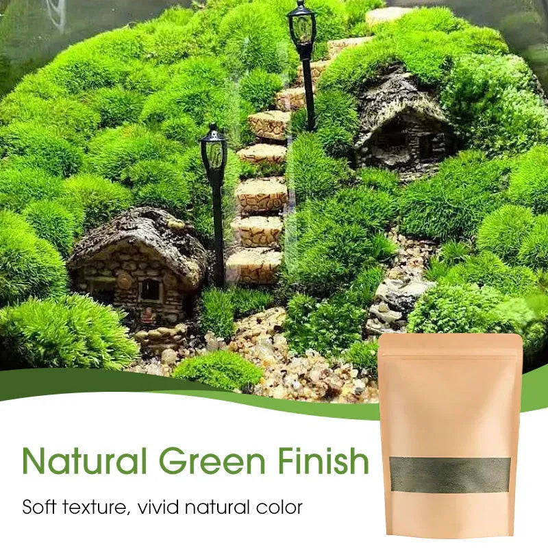 Premium-Grade Moss Spore Powder